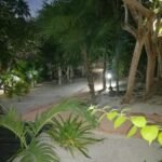 WhatsApp Image 2026-01-14 at 1.14.44 PM (4)